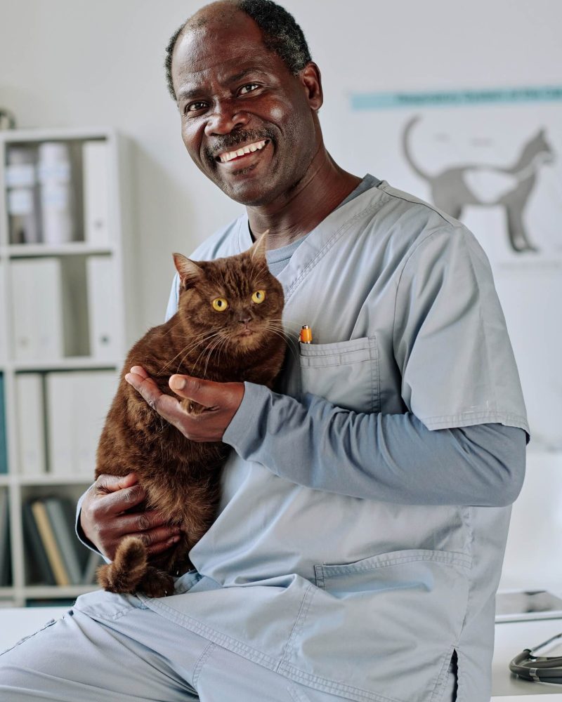 african-vet-doctor-with-domestic-cat-P48TFLT.jpg