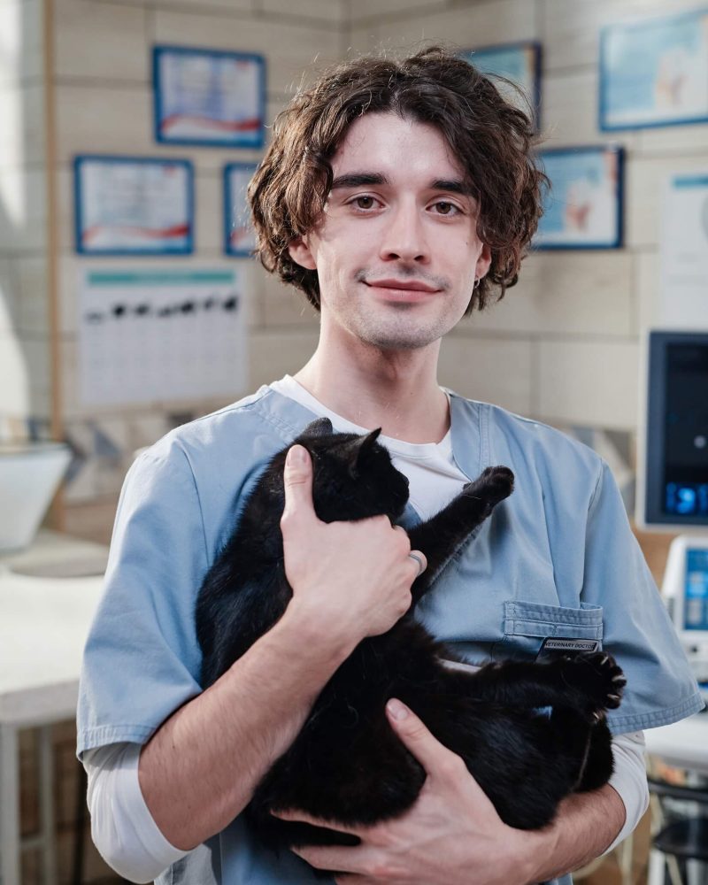 young-vet-doctor-with-domestic-cat-8Q6Y2M3.jpg